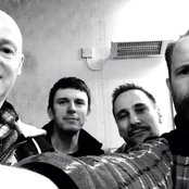 Beecake - List pictures