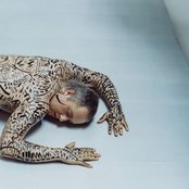 Antony And The Johnsons - List pictures