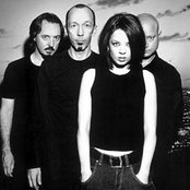 Garbage - List pictures