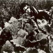 Bolshoi - List pictures