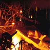 Tori Amos - List pictures