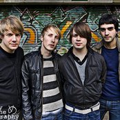 Goose - List pictures