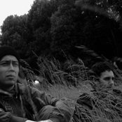 Solar Bears - List pictures