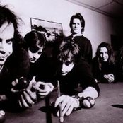 Mercury Rev - List pictures