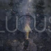 Luqus - List pictures