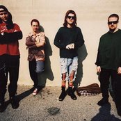 The Nixons - List pictures