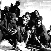 Bile - List pictures