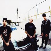 Transplants - List pictures