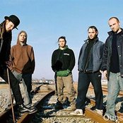 Trepalium - List pictures