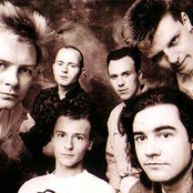 Madness - List pictures