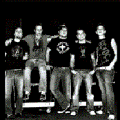 Normal Like You - List pictures