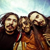 The Zen Circus - List pictures