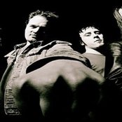 Dozer - List pictures