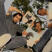 Bossacucanova - List pictures