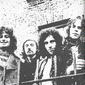 Rare Bird - List pictures