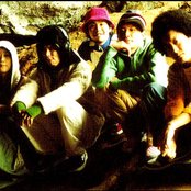 Bonobos - List pictures