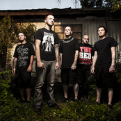 King Conquer - List pictures