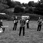 The Coral - List pictures