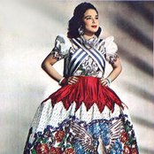 Flor Silvestre - List pictures