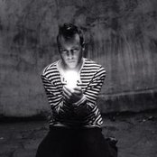 Penguin Prison - List pictures