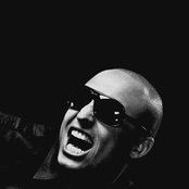 Raptile - List pictures