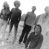 The Snakes - List pictures