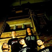 The Amity Affliction - List pictures