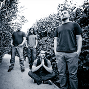 Cynic - List pictures