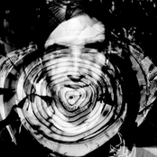 Matthewdavid - List pictures