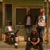 Monkey Majik - List pictures