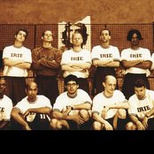 Seeed - List pictures