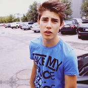 Robin - List pictures