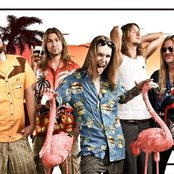 Children Of Bodom - List pictures