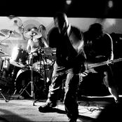 Mastino - List pictures