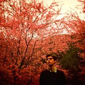 Helios - List pictures