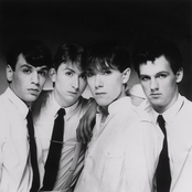 Talk Talk - List pictures