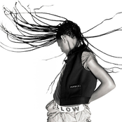 Willow - List pictures