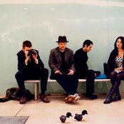 Guillemots - List pictures