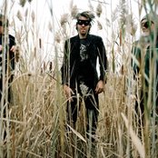 Half Moon Run - List pictures