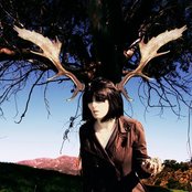 Carina Round - List pictures