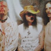 G.g. Allin - List pictures