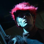 Vena - List pictures