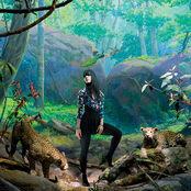 Bat For Lashes - List pictures