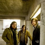 Seabird - List pictures