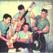 The Snakes - List pictures