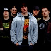 Ingested - List pictures