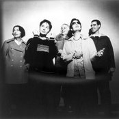 Stereolab - List pictures