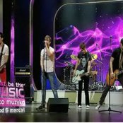 Rotten Bark - List pictures