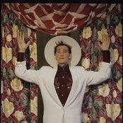 K. D. Lang - List pictures