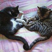 Tercer Cielo - List pictures